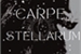 Fanfic / Fanfiction Carpe Stellarum