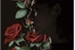 Fanfic / Fanfiction Floresta de rosas e espinhos