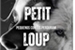 Fanfic / Fanfiction Petit loup