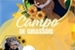 Fanfic / Fanfiction Campo De Girassóis