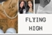 Fanfic / Fanfiction Flying High