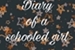 Fanfic / Fanfiction Diary of a schooled girl