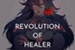 Fanfic / Fanfiction Revolution of Healer