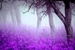 Fanfic / Fanfiction Purple flower