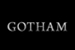 Fanfic / Fanfiction Gotham: Os Irmãos Wayne