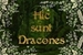 Fanfic / Fanfiction Hic sunt Dracones, interativa.