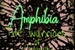 Fanfic / Fanfiction Amphibia: warriors of calamity