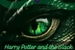 Fanfic / Fanfiction Harry Potter and the Black Serpent