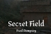 Fanfic / Fanfiction Secret Field