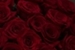 Fanfic / Fanfiction The Death Request of the Crimson Rose