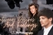 Fanfic / Fanfiction Between Desires And Feelings (larry stylinson)