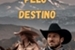 Fanfic / Fanfiction Laçados pelo Destino (Yellowstone)