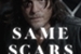 Fanfic / Fanfiction SAME SCARS - Daryl Dixon
