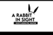 Fanfic / Fanfiction A rabbit in sight !