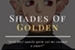 Fanfic / Fanfiction Shades Of Golden - Huntlow - The Owl House Fic