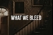 Fanfic / Fanfiction "What We Bleed" - Drarry