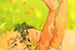 Fanfic / Fanfiction Bakudeku -Teto de Vidro.