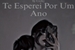 Fanfic / Fanfiction Te Esperei Por Um Ano