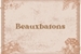 Fanfic / Fanfiction Beauxbatons