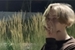 Fanfic / Fanfiction You belong with me