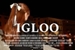 Fanfic / Fanfiction | igloo