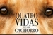 Fanfic / Fanfiction Quatro vidas de um cachorro