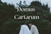 Fanfic / Fanfiction Domus Cartarum