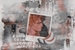 Fanfic / Fanfiction Bandeiras, melões e uma casa sempre arrumada . bellamy
