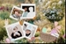 Fanfic / Fanfiction Caça aos ovos - Family Meanie