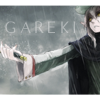 Usuário: Gareki