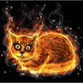 Usuário: fire-cat