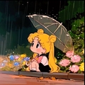 Usuário: shoyupeachs