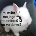 Usuário: zizitah
