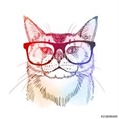 Usuário: Hipster_Cat