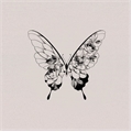 Usuário: butterfly_flower