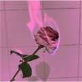 Usuário: slcvenus