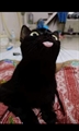 Usuário: Pandinha2de4