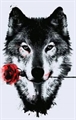 Usuário: Werewolf_Of_Light_Nature_Air