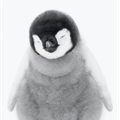 Usuário: PinguimAlcolico