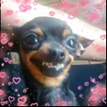 Usuário: Deliriob