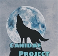 Usuário: Canidae_Project