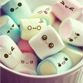 Usuário: colorful_mallow