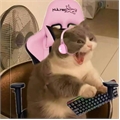 Usuário: M_a_yra