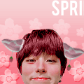 Usuário: SpringWe