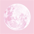 Usuário: baby_moon_rose