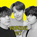 Usuário: Vhopekook_Pjct