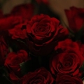 Usuário: Cherry_Kiss