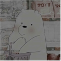 Usuário: pingu_koala