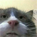 Usuário: xxxtazmo00