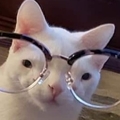 Usuário: ClaRa2OO7